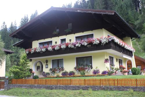 Schwarzenbacher - Apartment - Lungötz