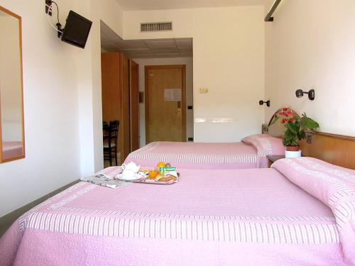 Hotel Adler Ideally located in the prime touristic area of Alassio, Hotel Adler promises a relaxing and wonderful visit. Both business travelers and tourists can enjoy the hotels facilities and services. Free Wi