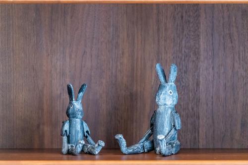 Jade Rabbit, Kutčan (fotografie 6)