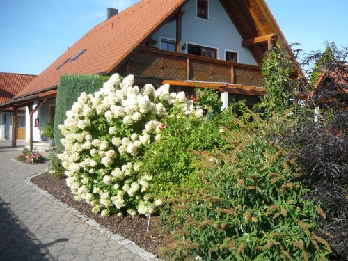 B&B Röttenbach - Ferienwohnung Schwarz - Bed and Breakfast Röttenbach