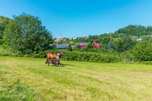 Familienhotel Reiterhof Runding 3