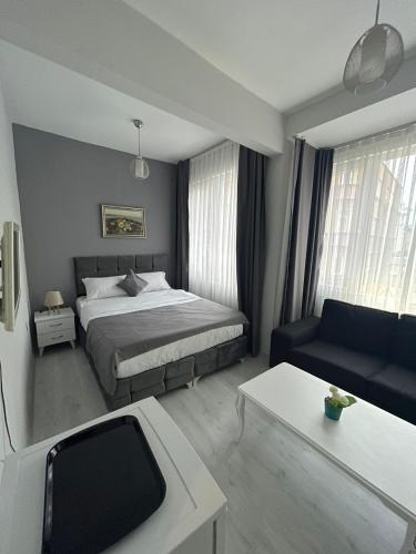 Standard Family Room image 2