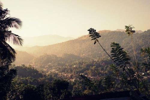 Kandy Nature Resort