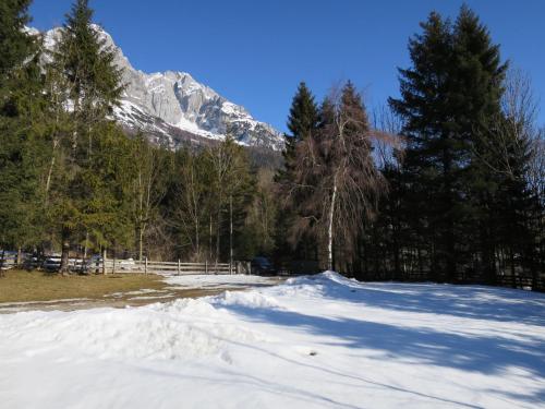 Holiday Home Landhaus Grüne Oase by Interhome (Holiday Home Landhaus Grune Oase by Interhome) in Diemlern