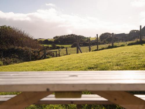 Primrose Cottage Haverfordwest - image 14