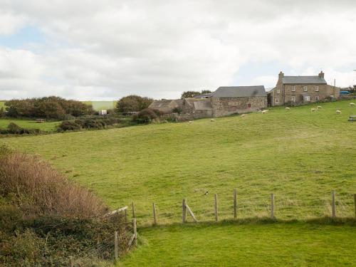Primrose Cottage Haverfordwest - image 2