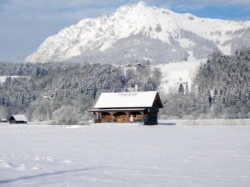 Chalet Steiners Blockhütte - STS220 by Interhome