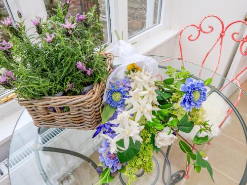 Rosevine, Kingsbridge (fotografie 10)