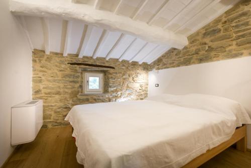 fringuello - Mandorlo, Cortona (fotografie 5)