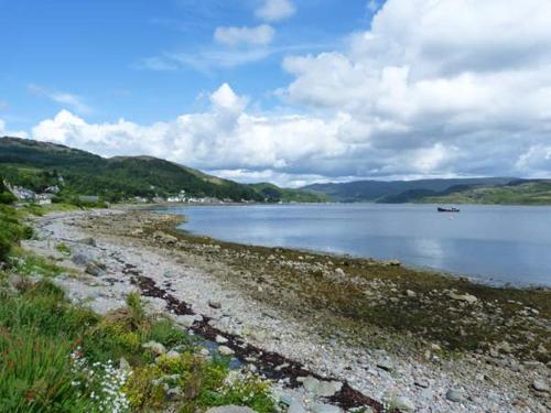 Top Flat - image 12