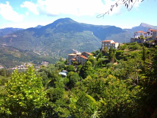 Locazione Turistica Il Mandarino gîte à louer Pedona