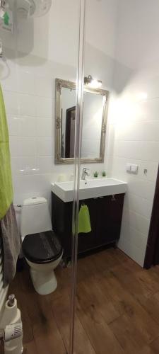 Quiet & Cosy Apt in the Heart of Old Cracow, Cracovie (photo 9)