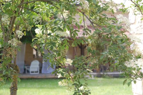 Gîte de charme avec jacuzzi "La feuillade aux oiseaux" gîte à louer Biron