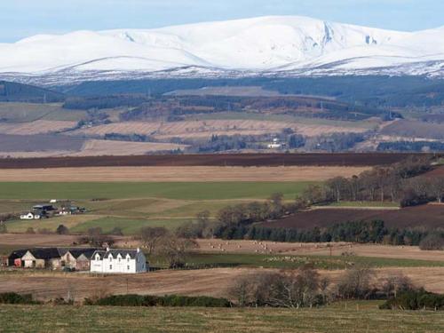 Pine Lodge Dingwall - image 12