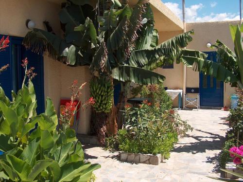 Vrt, Porto Kastri Studios in Viannos