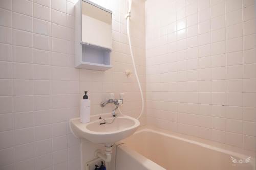 One-Bedroom Apartment image 10