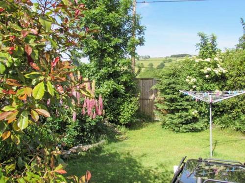 Gorrig Bwthyn - image 5