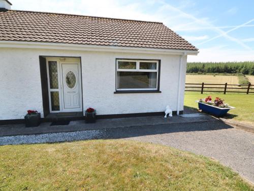 Clash-Brack Dungarvan - image 12