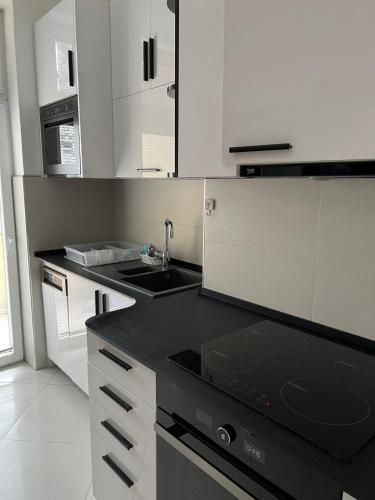 貝爾格勒 Apartment Alex 3星级 单人房 泳池