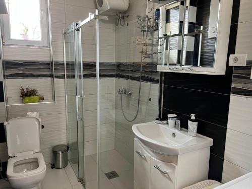 貝爾格勒 Apartment Alex 3星级 单人房 套房