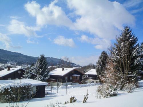 B&B Arrach - Apartment Am Hohen Bogen-6 by Interhome - Bed and Breakfast Arrach