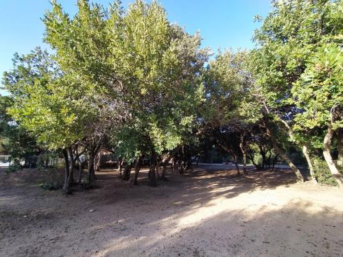 New Camping Coccorrocci