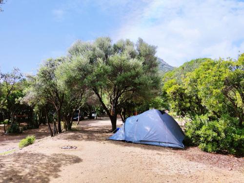 New Camping Coccorrocci