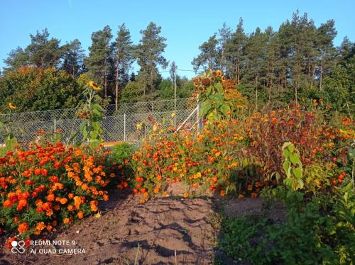 Dom pod Srebrnym Żurawiem Dom pod Srebrnym Żurawiem
