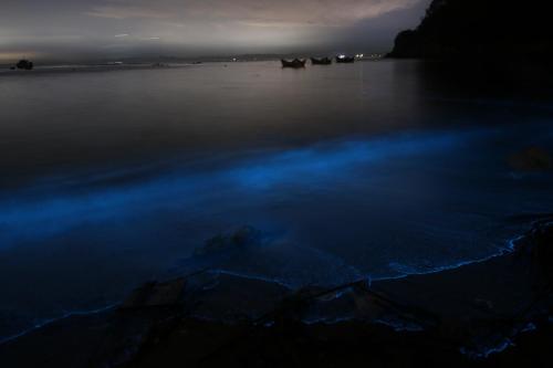 Beach, 亞窩行館 Yao Guesthouse in Matsu Island
