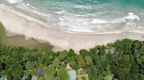 Beachfront Villa, Abundant Wildlife, Best Location in Puerto Viejo de Talamanca