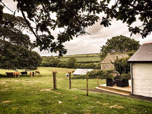 Vine Cottage St. Austell - image 13