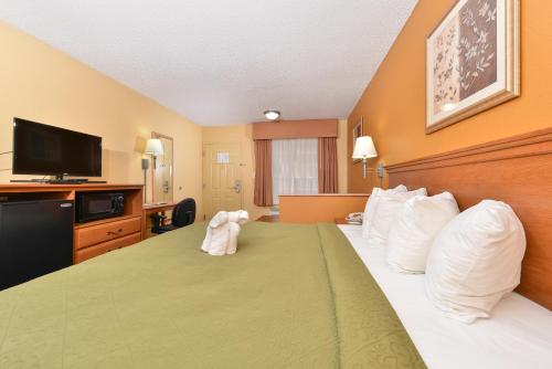 Quality Inn & Suites - image 4