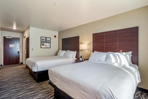 Cobblestone Hotel & Suites - Little Chute - image 12