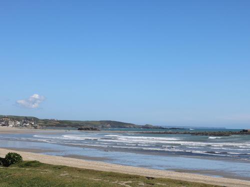 Seashells - image 3