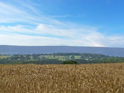 Bushmills - image 8