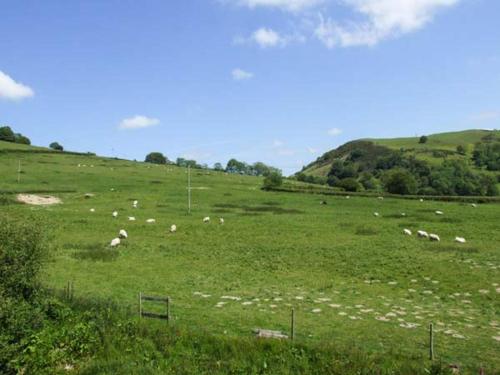 Cwmgilla Farm in นิคตัน