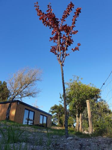 Casa d' Além Turismo e Natureza - Refúgio do Valouto (Casa d' Alem Turismo e Natureza - Refugio do Valouto) in โตรฟา
