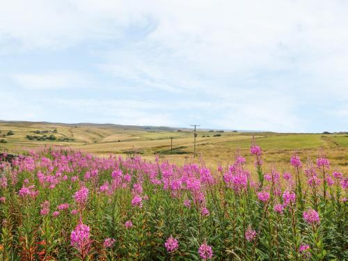 New Cottage Farm - image 8
