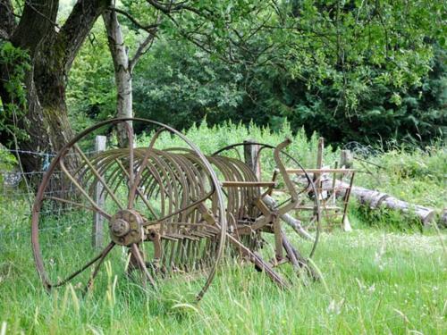 Hendre Aled Cottage 1 - image 4