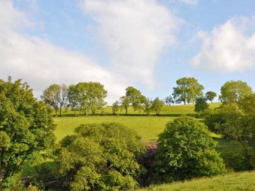 Hendre Aled Cottage 1 - image 7
