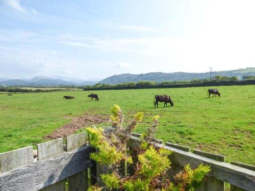 Muncaster View - image 6