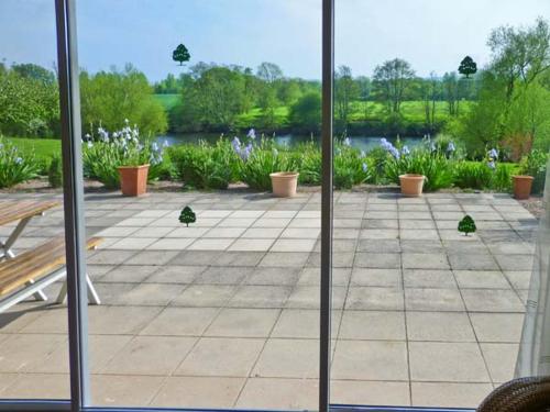 Herons - image 6
