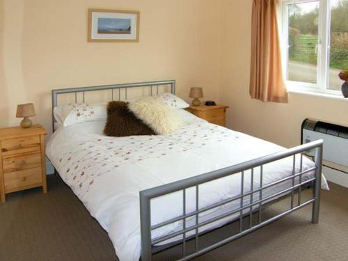 Ffynnon Ni - image 14