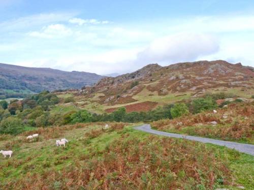 High Kiln Bank Cottage - image 13