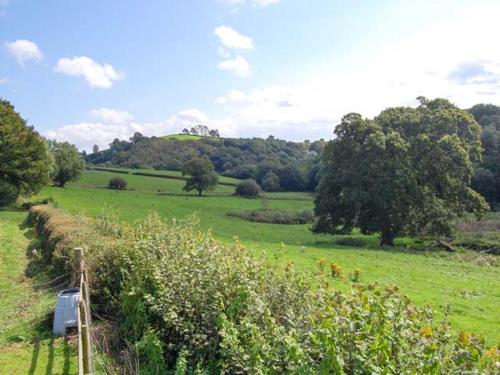 Ffynnonlwyd Cottage - image 12