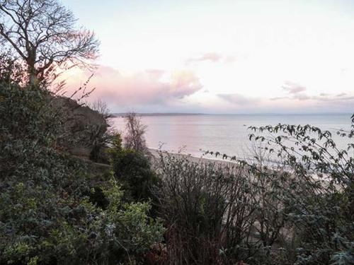 White Cottage Annexe - image 2