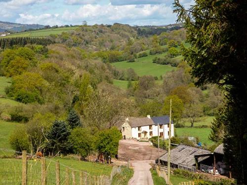 Glebe Farm Cottage - image 4