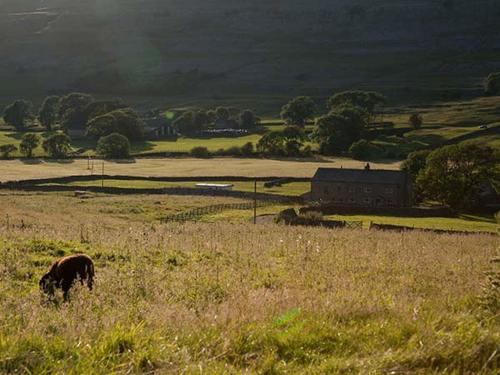 Dale House Farm Cottage - image 12