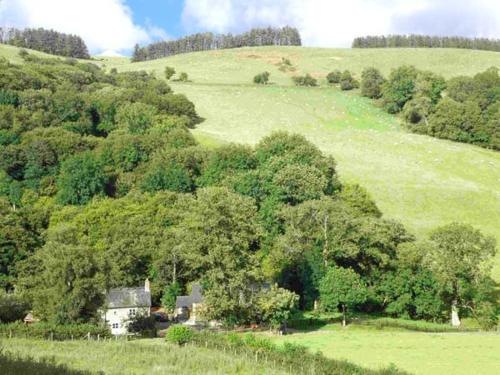 Ploony Cottage - image 6