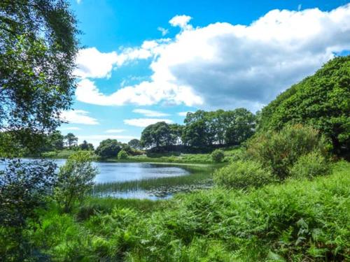 Groes Newydd Bach - image 12